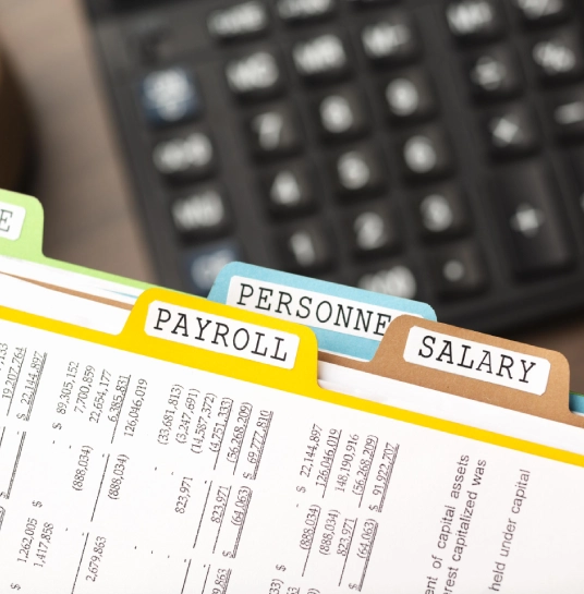 Payroll Processing Nexera Solution Australia